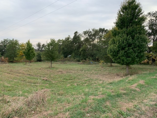 11666 Backbone Rd, Wyanet, IL 61379 - photo 1