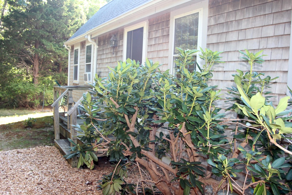 Front Entry lr