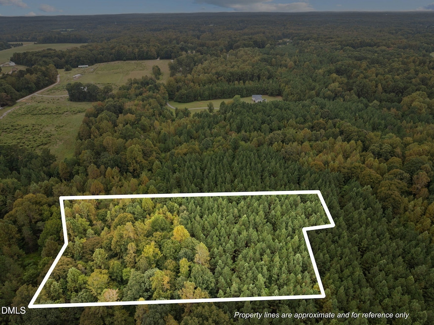 Lot E Wolf Tree Way, Efland, NC 27243 - photo 1