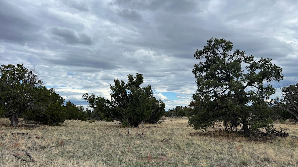 0 Squaw Pass unit 24661344, Quemado, NM 87829 - photo 1