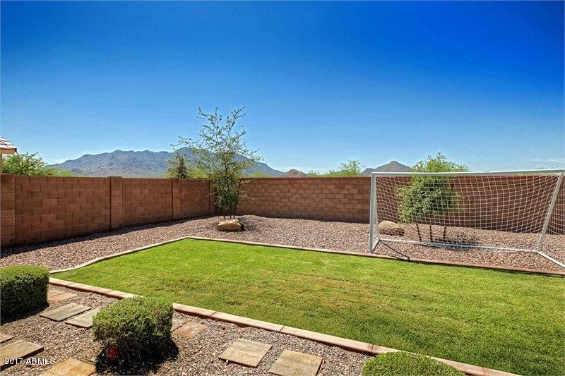 Back yard