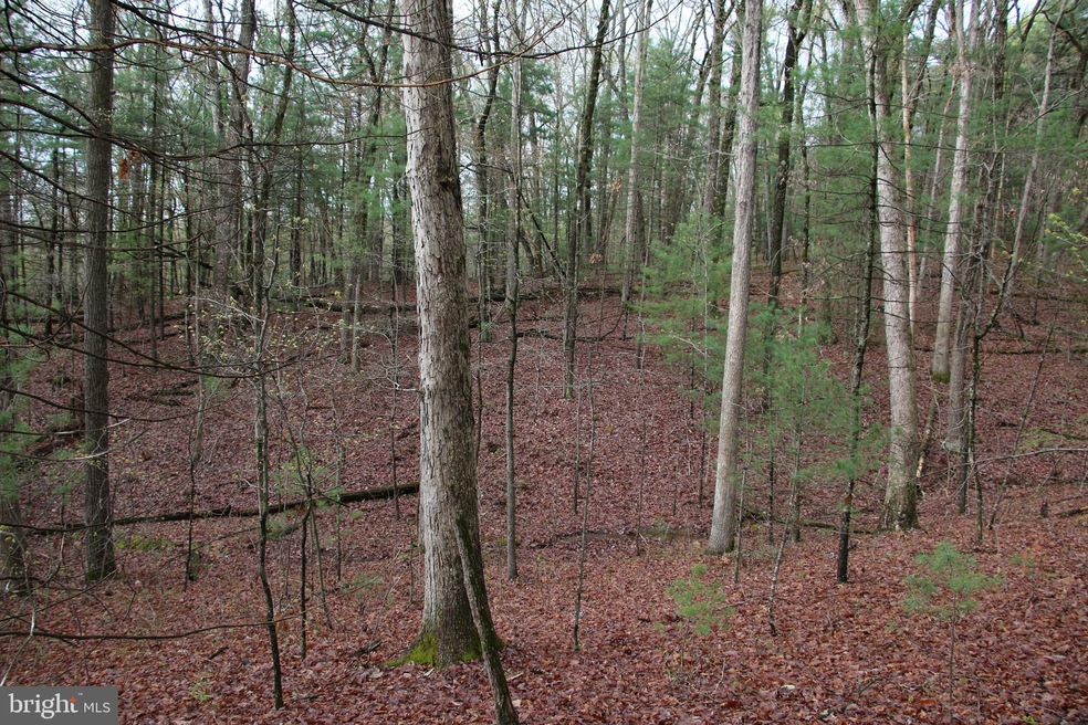 0 Jerome Rd unit VASH2001484, Mount Jackson, VA 22842 - photo 1