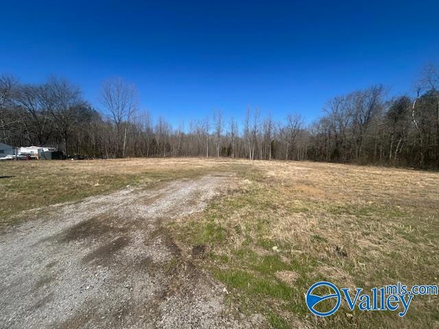 4277 Hobbs Island Rd, Owens Cross Roads, AL 35763 - photo 1