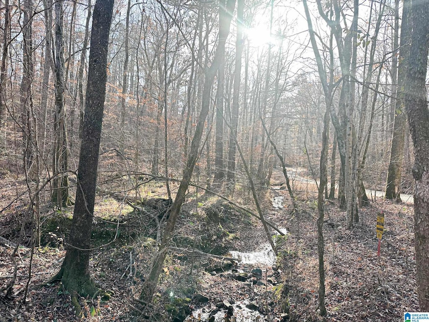 5325 Union T Rd, Talladega, AL 35160 - photo 1