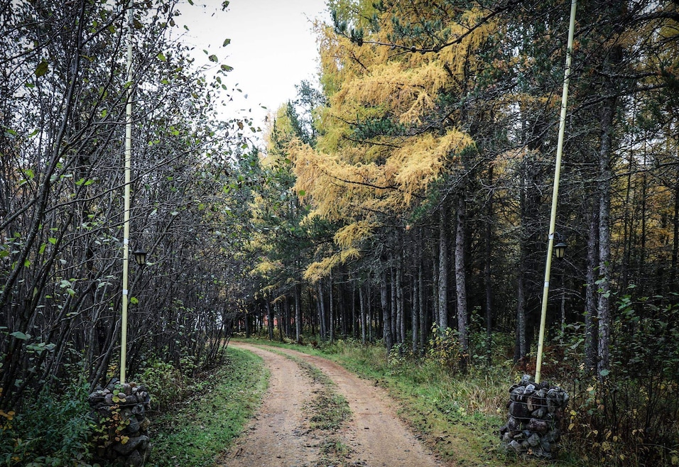 7839 Stromberg Rd, Embarrass, MN 55732 - photo 1