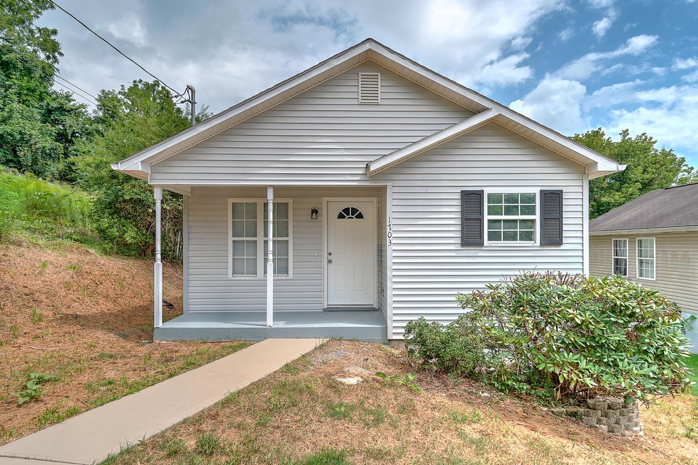 1703 Daytona Dr, Johnson City, TN 37601 - photo 1