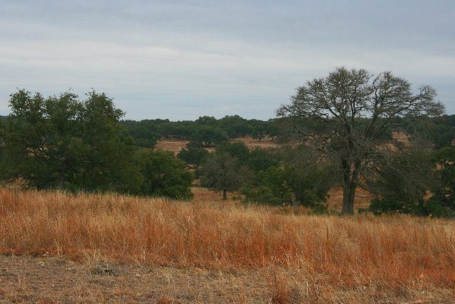 0 Hartmann Ranch Way unit 67558, Fredericksburg, TX 78624 - photo 1