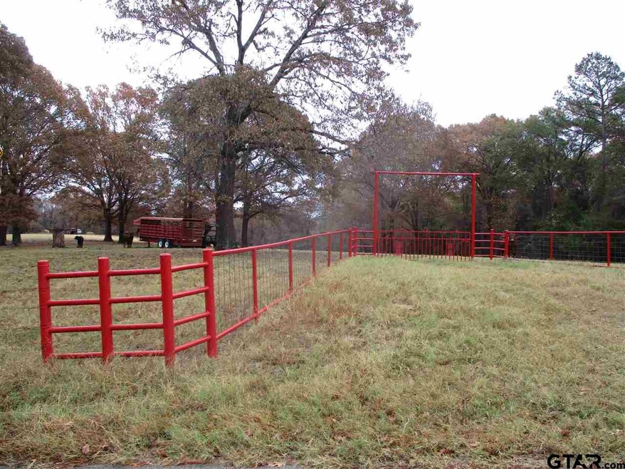 11059 County Road 290, Tyler, TX 75707 - photo 1