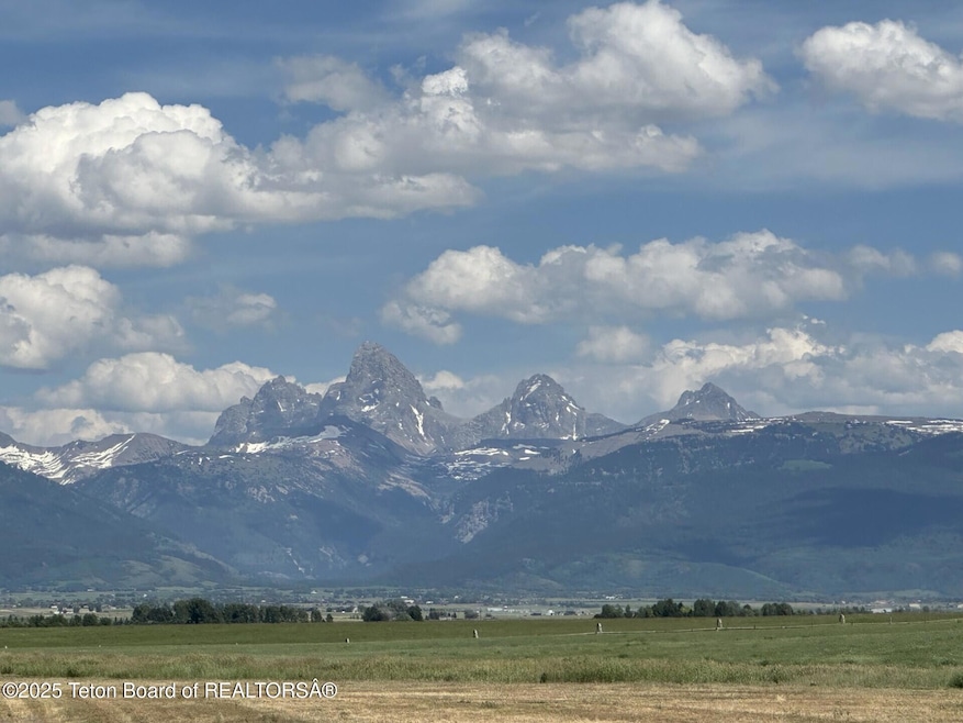 3691SageGrouse_Tetons