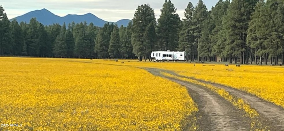 For Sale $975,000 • Co-Listing Agent