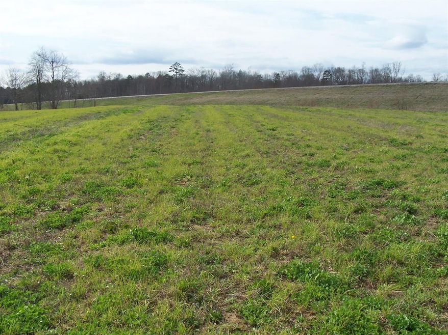 0 E Highway 30 unit 1818910, Tyner, KY 40486 - photo 1