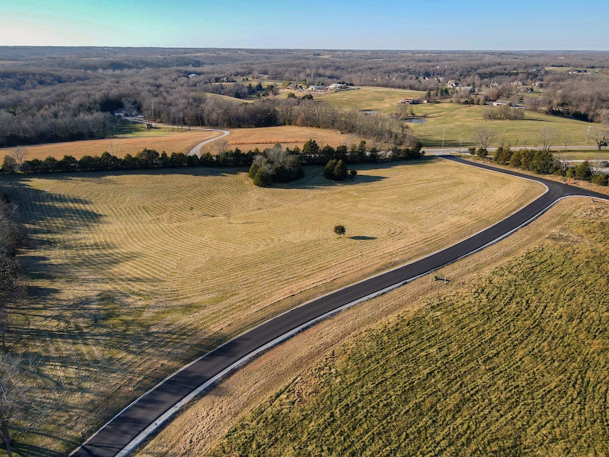DJI_0473