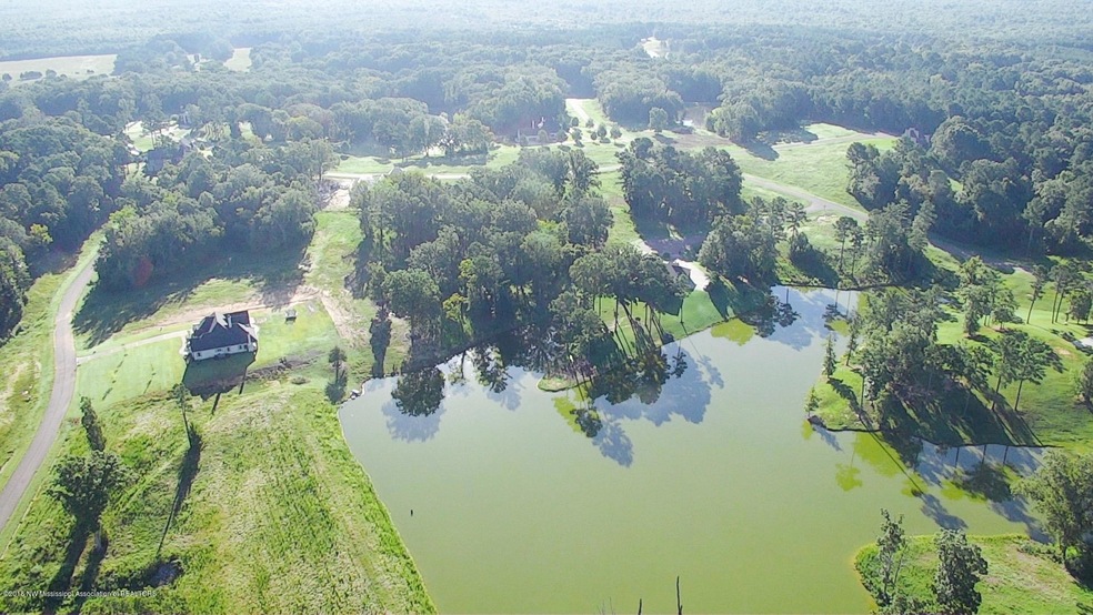 Gray's Creek Full NW