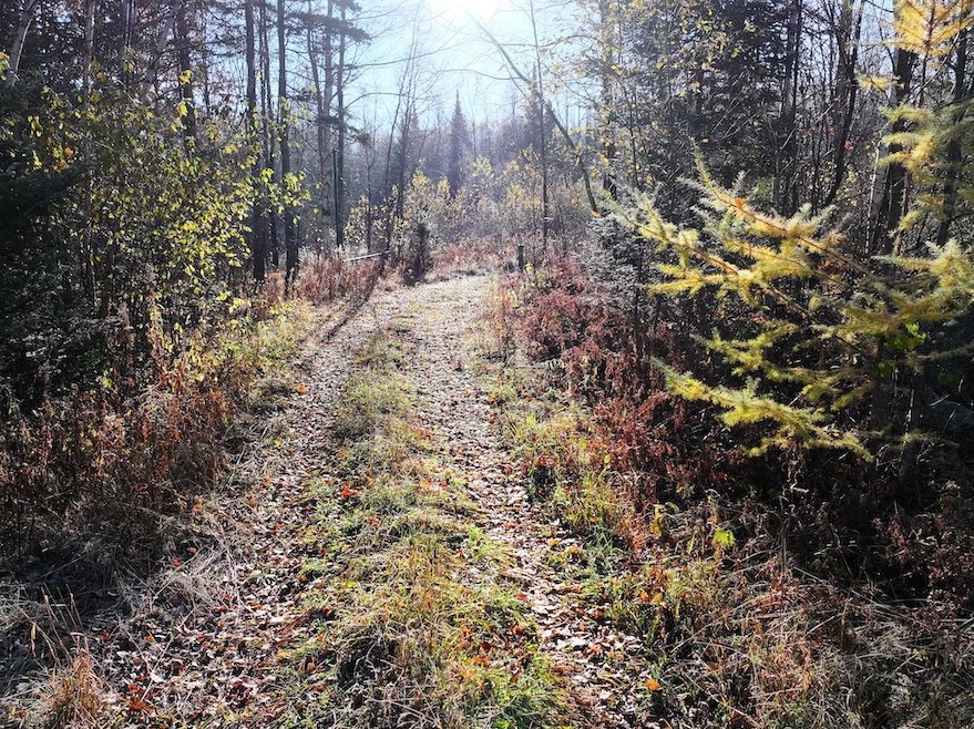 0 Roberts Lake Rd unit 25758611, Laona, WI 54541 - photo 1