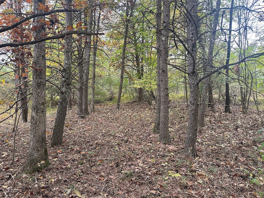 0 Jericho Rd unit 25758594, Walker, WV 26180 - photo 1