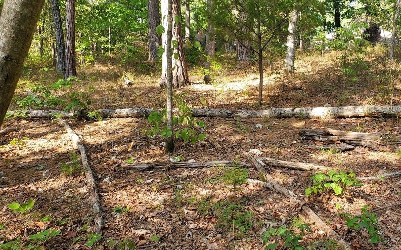 Lot 4 Greta Ln, Bella Vista, AR 72715 - photo 1