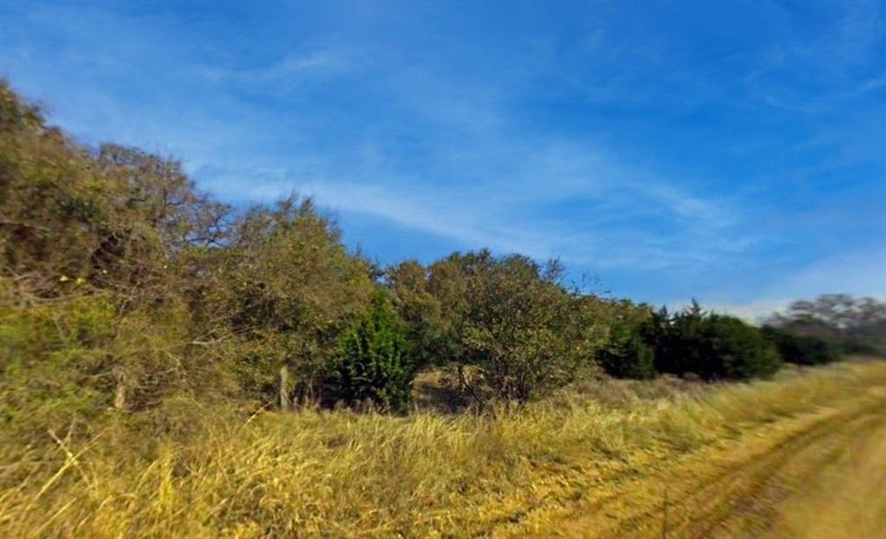 1279 Paint Brush Ct, Whitney, TX 76692 - photo 1