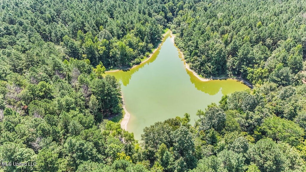 aerial