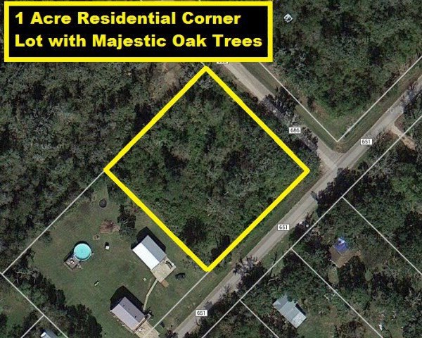 0 County Road 651 unit 55837, Brazoria, TX 77422 - photo 1