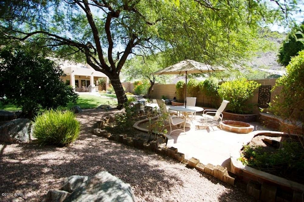 Paradise Backyard