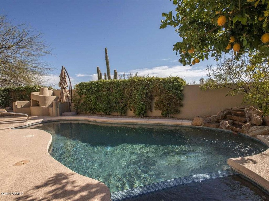 001_A Desert Oasis