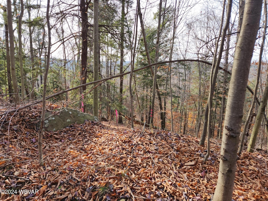 0 Pole Bridge Rd unit LOT 38 WB-100450, Laporte Township, PA 17758 - photo 1