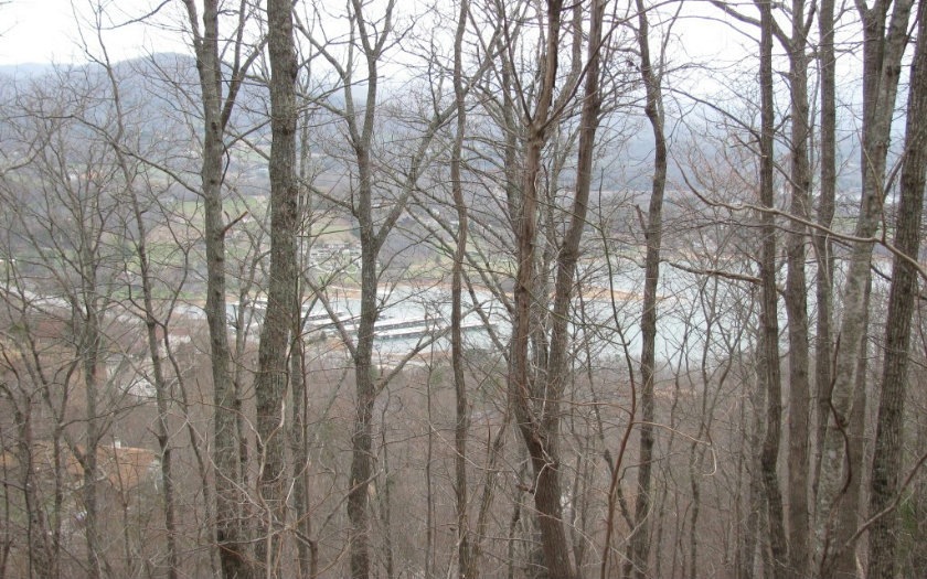 Main View