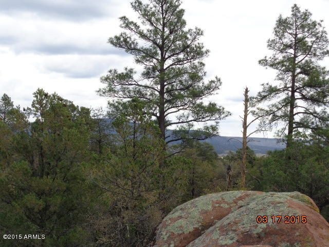 ponderosa pines.JPG