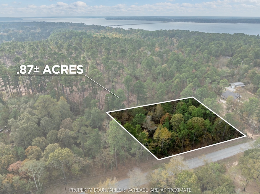 Lot 11 Pintail Dr, Flint, TX 75762 - photo 1