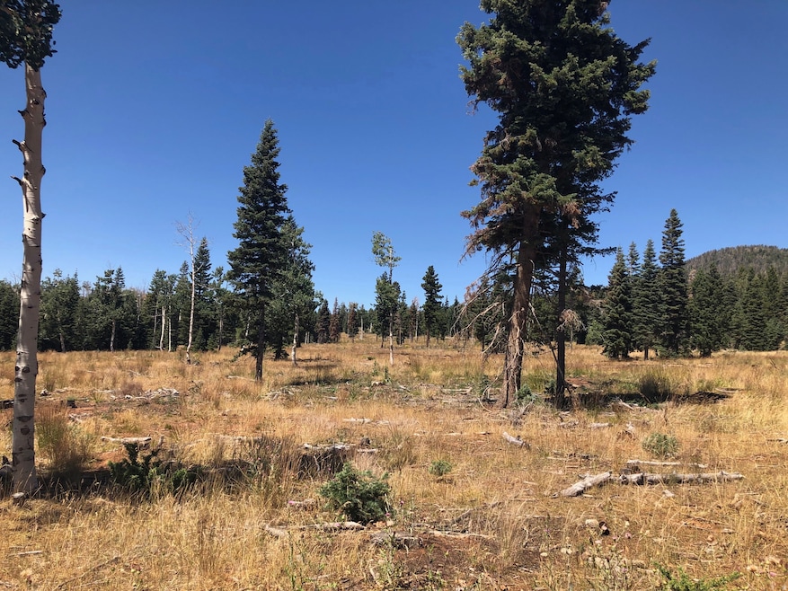 0 N Fork County Rd, Duck Creek Village, UT 84762 - photo 1