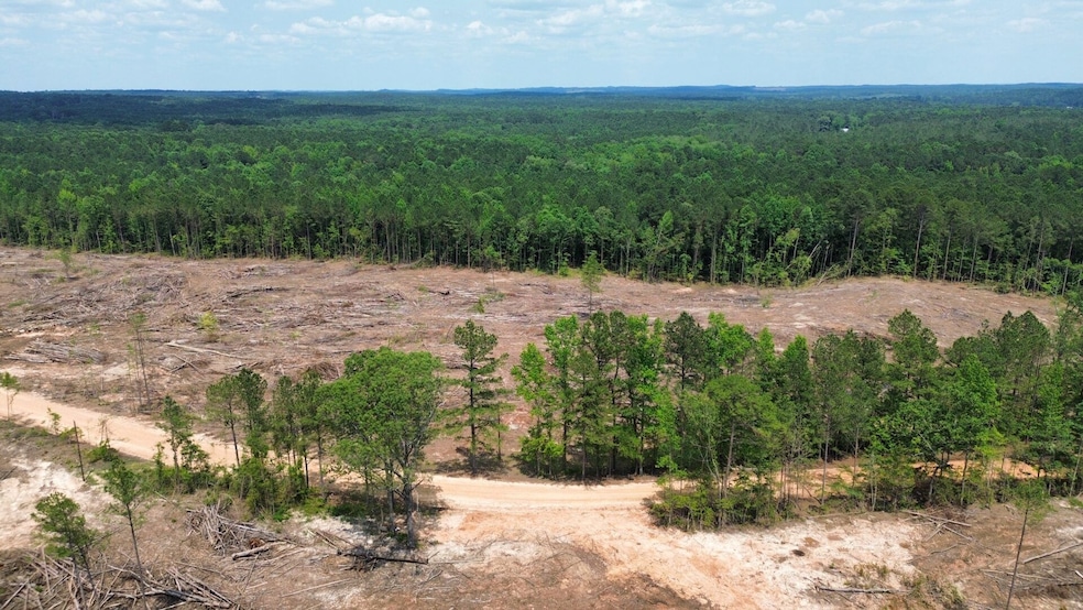 + - 9 7acres unit Attala County MS, Kosciusko, MS 39067 - photo 1