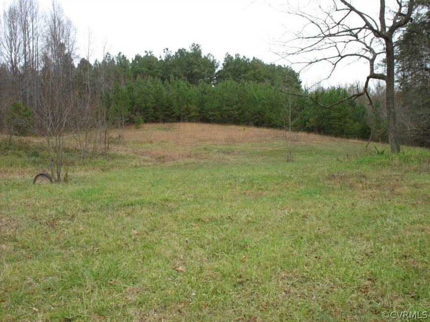 346 Fox Branch Run, Louisa, VA 23093 - photo 1