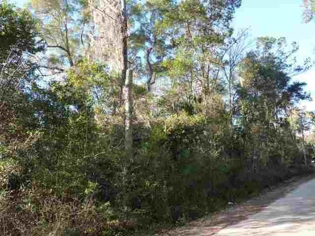 0 Squaw Rd unit 3 230865, Crawfordville, FL 32327 - photo 1