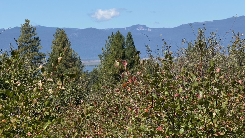 View from Road
