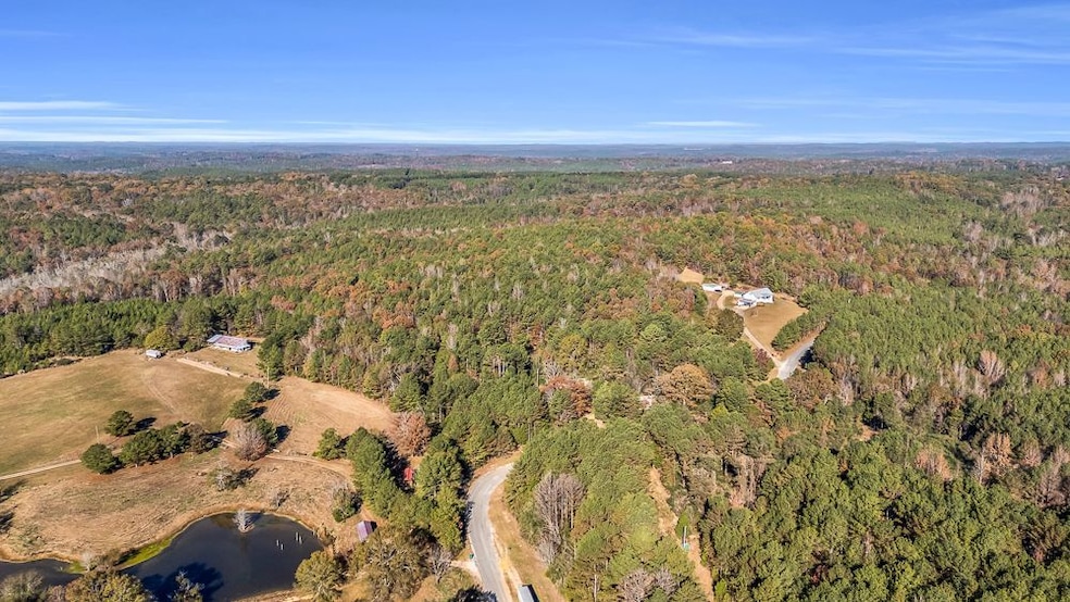 661 Cedar Tree Rd, Vernon, AL 35592 - photo 1