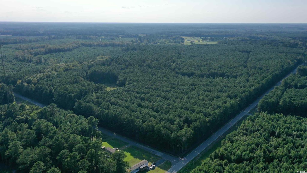 0 Powell Loop, Andrews, SC 29510 - photo 1