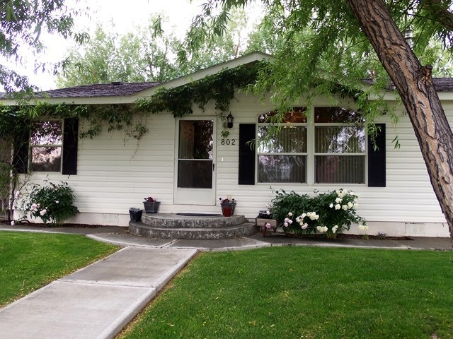 Main View