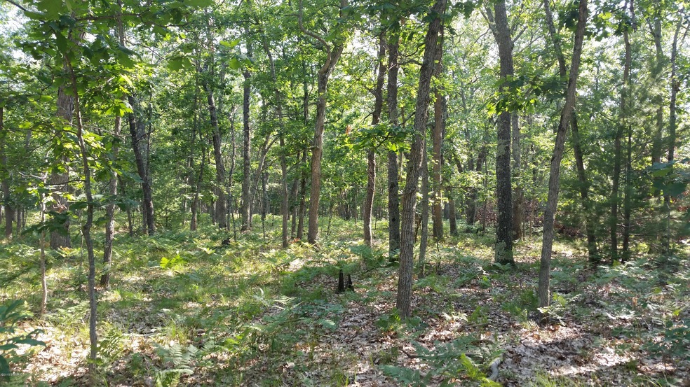 3322 S Woodin Dr, Webber Township, MI 49304 - photo 1