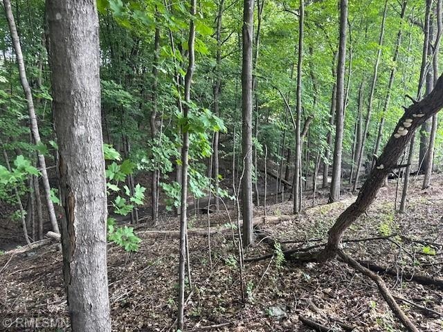 10492 Kalland Ln NE, Hanover, MN 55341 - photo 1