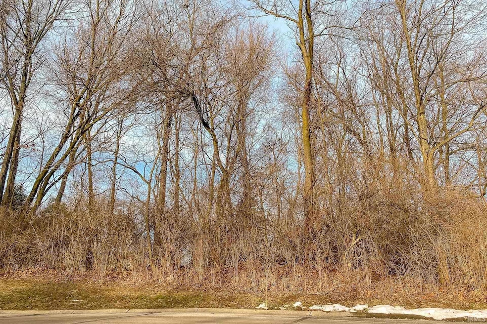 53384 Stone Ridge Dr unit 18, South Bend, IN 46637 - photo 1