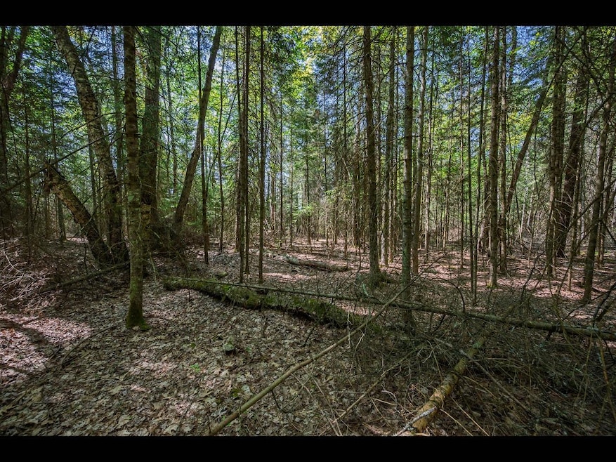 Lot 3 Memory Ln, Eagle River, WI 54521 - photo 1
