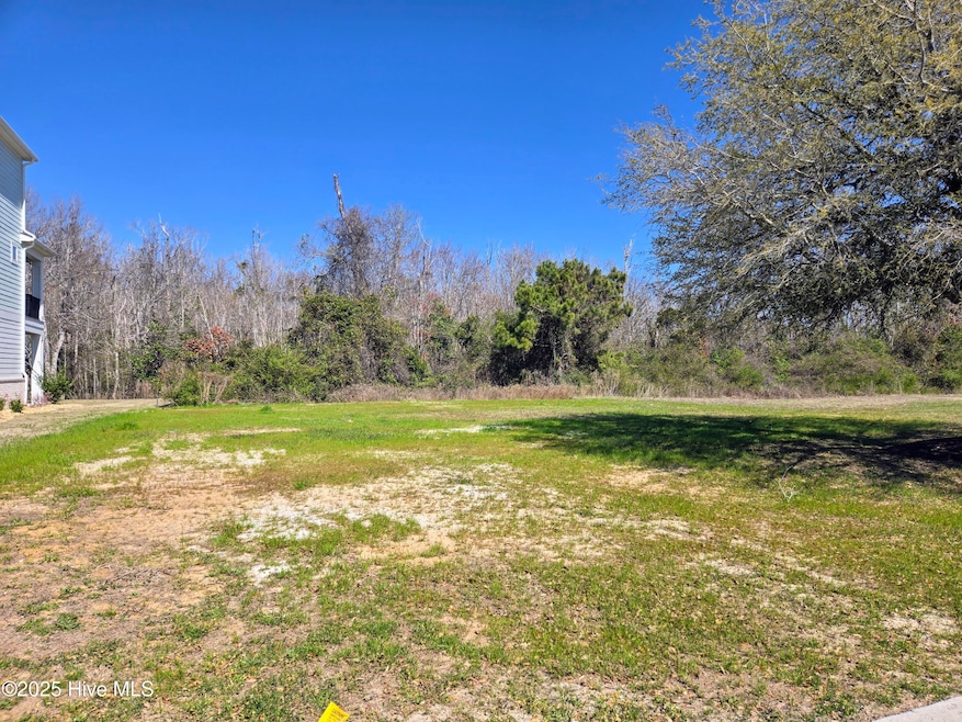 216 Colleton Square, White Oak, NC 28570 - photo 1