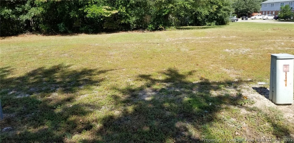 4110 David St, Franklinville, NC 28304 - photo 1