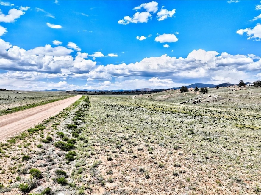 656 Ute Trace, Hartsel, CO 80449 - photo 1