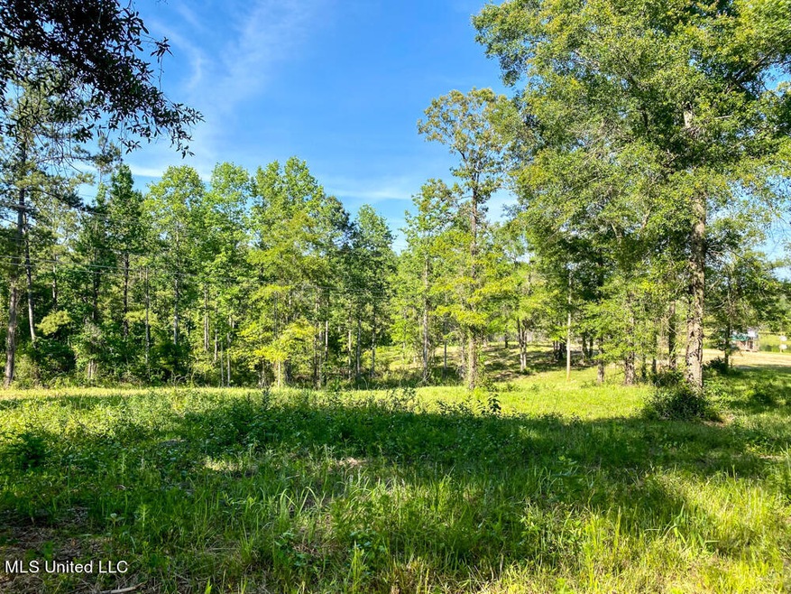0 Hwy 26, Lucedale, MS 39452 - photo 1