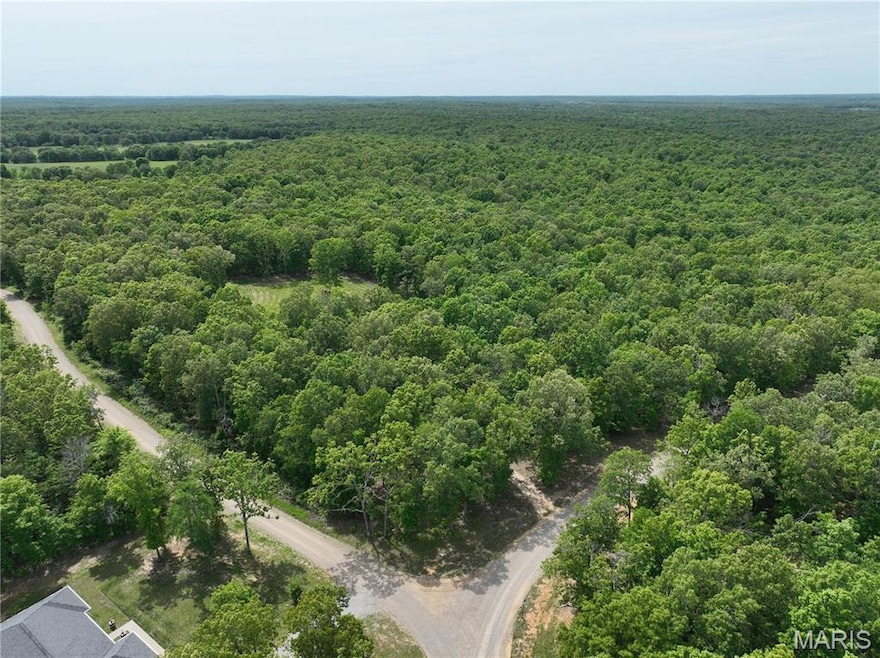 TBD Jaxon Ln, Fairdealing, MO 63939 - photo 1