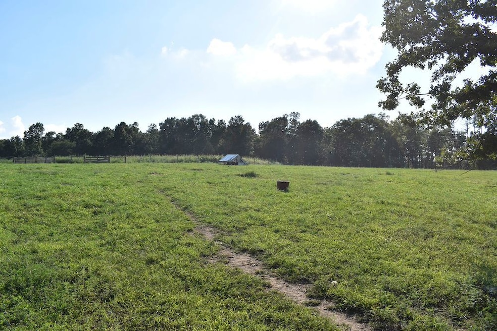 20298 Highway Vv, Licking, MO 65542 - photo 1