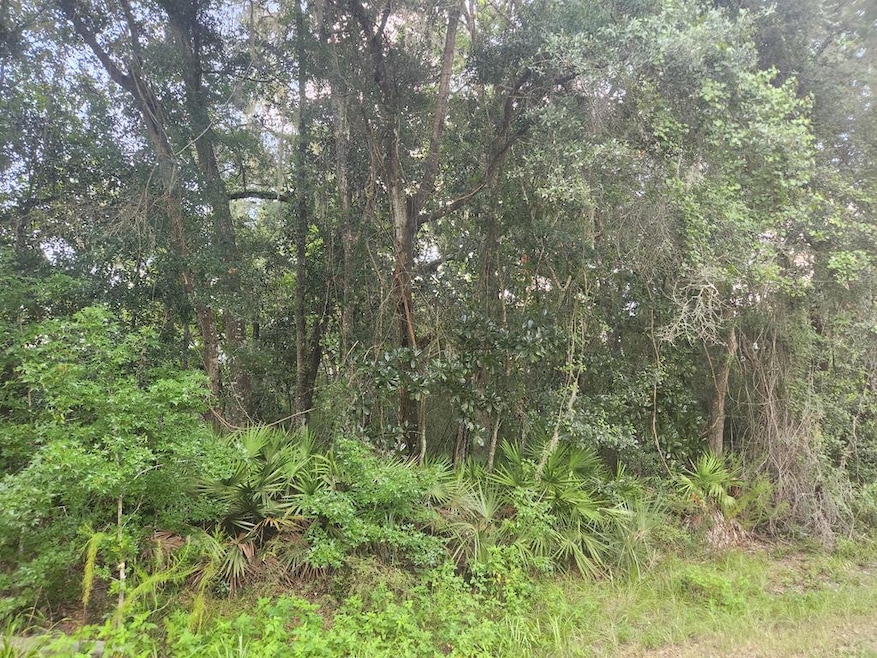 0 NW 86th St, Chiefland, FL 32626 - photo 1