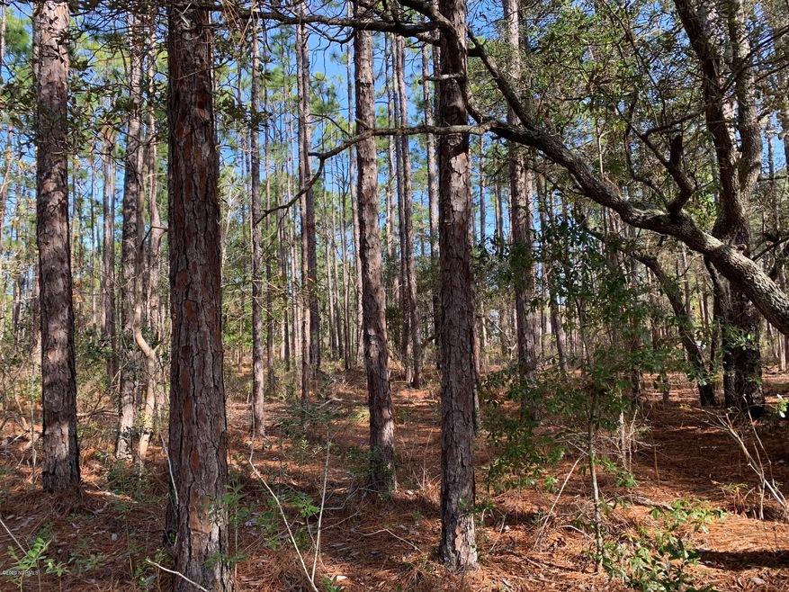 284 N High Point Rd