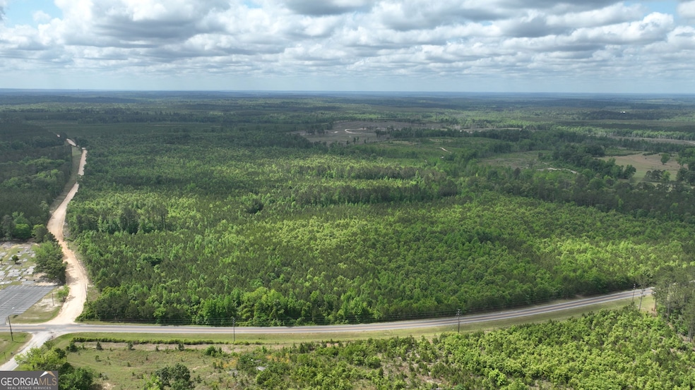 0 N Indian Trail Rd, Sandersville, GA 31082 - photo 1